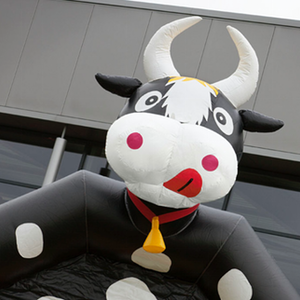 Luchtkussen Huren in Limburg: Springen en Spelen in Stijl! Huur een luchtkussen in Limburg voor een dag vol spring- en speelplezier!